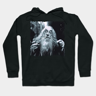 Stoned Wizard Old Man Magician Real Life Hoodie